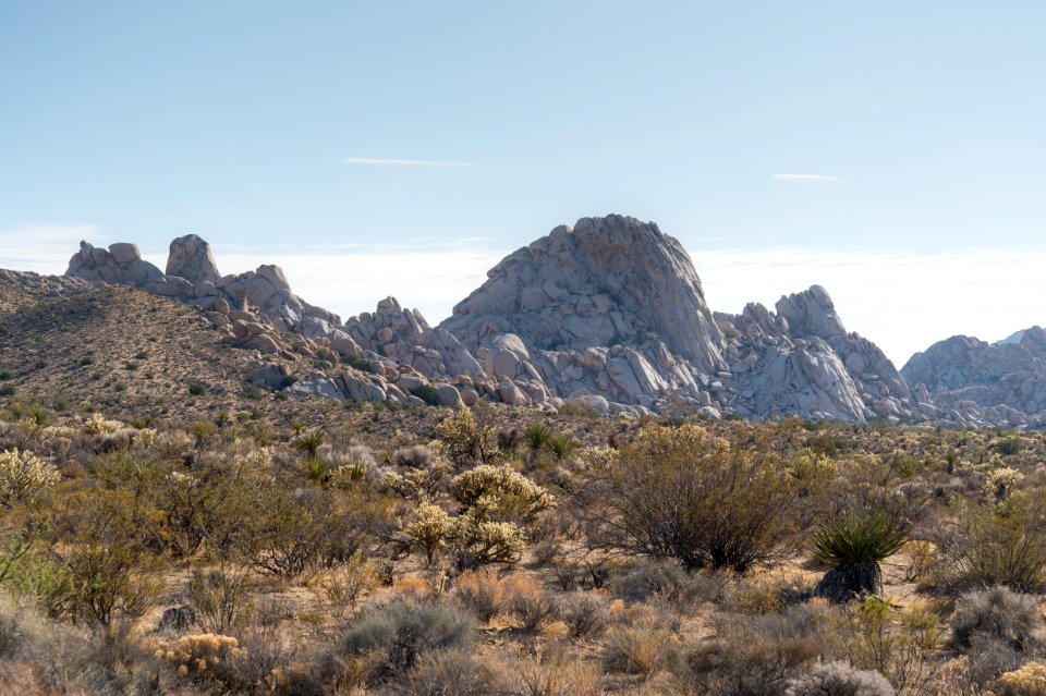 Mojave National Preserve