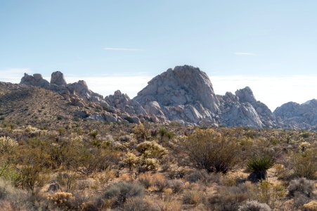 Mojave National Preserve photo