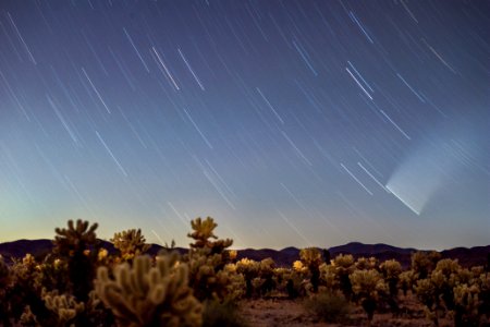 Star trails and comet NEOWISE over Cholla Cactus Garden