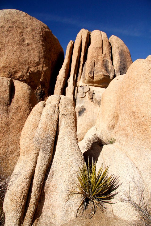 White Tank Campground