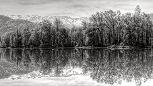 Spring Reflection photo