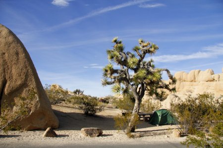 Jumbo Rocks Campground