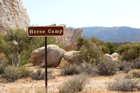 Ryan Campground; Horse Camp