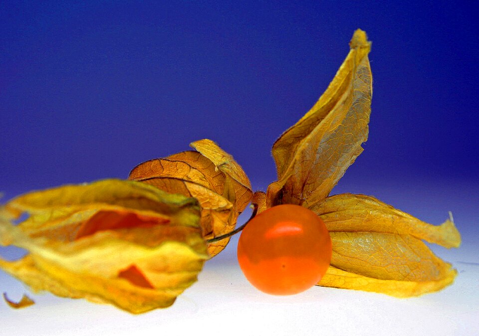 Tasty food decoration