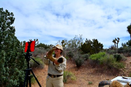 Educational volunteer conducts a long distance interpretive program.