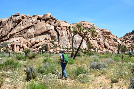 Hiker photo