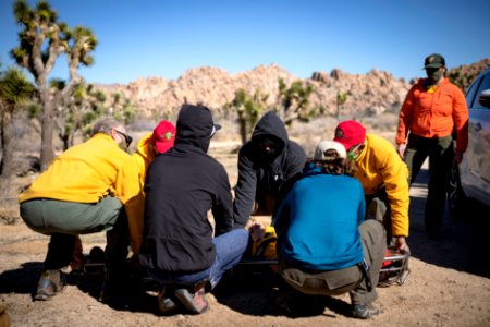 Joshua Tree Search and Rescue team members training on litter carries