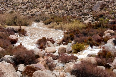 Rattlesnake Canyon in the rain