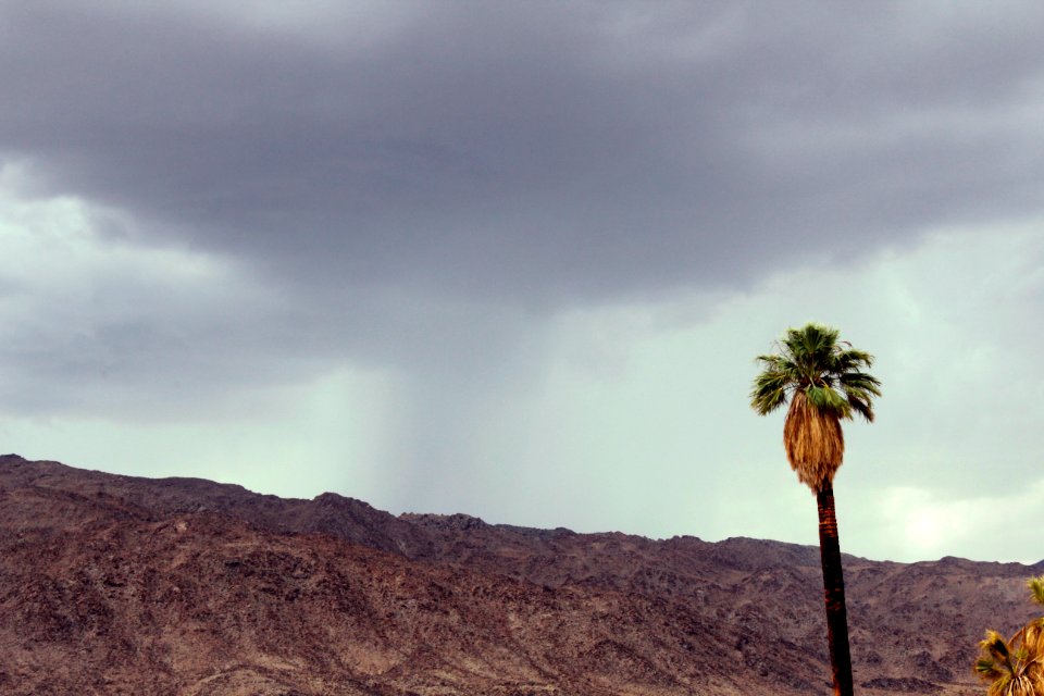 Oasis of Mara Thunderstorm
