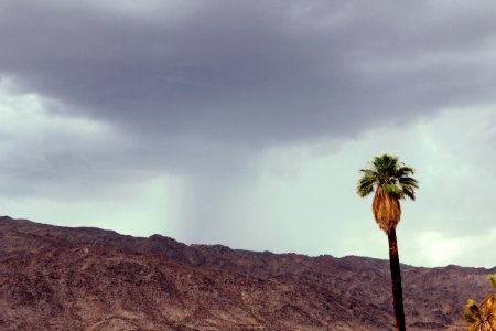 Oasis of Mara Thunderstorm