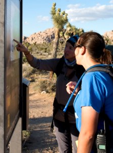Backpacking along the Boy Scout Trail