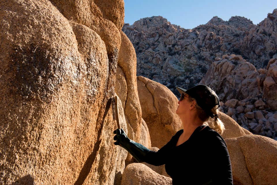 Graffiti Removal Day with Volunteers