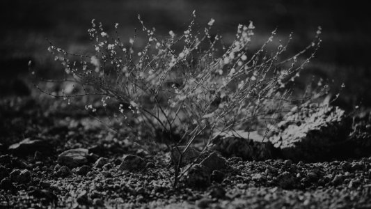 Life in Motion