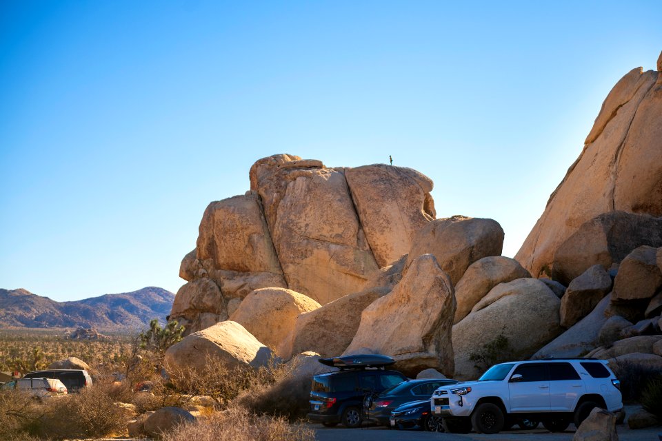 Climber atop Intersection Rock from Hidden Valley Campground