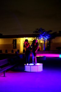 IMG 0310