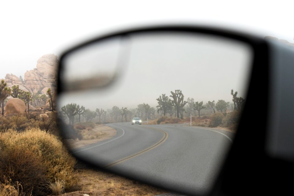 Foggy Day in Joshua Tree National Park