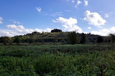 St Catherine's Hill, Winchester, September 2016