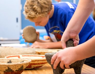 GATE (Gifted and Talented Education) students grind acorns