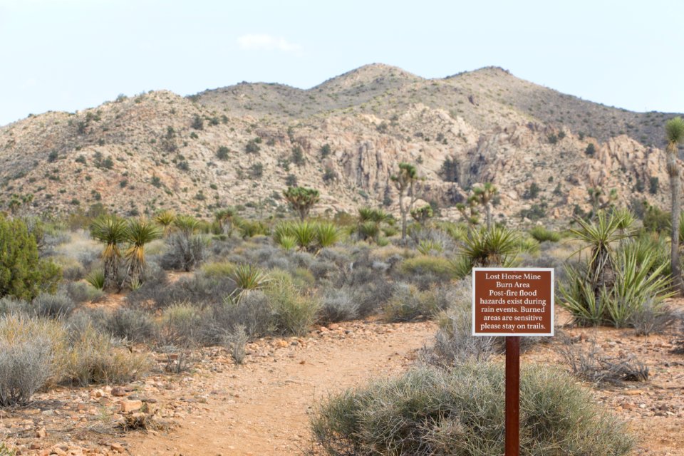 Ryan Campground; California Riding and Hiking Trail