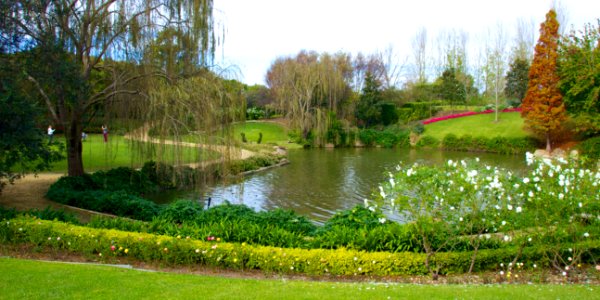 Hunter Valley Gardens