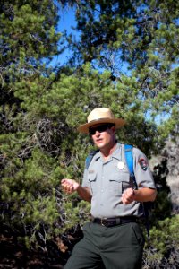 Ranger Carey Goldstein with Pinyon Pine