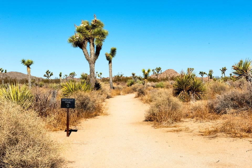 Willow Hole Trail Divergence
