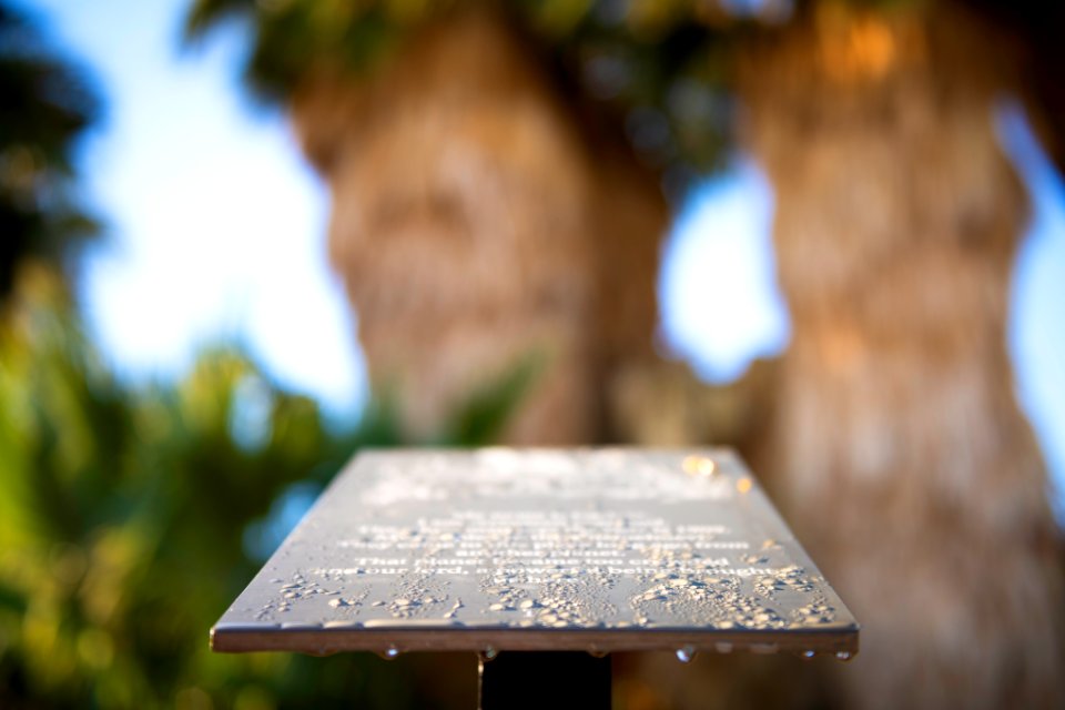 Water droplets on a sign at the Oasis of Mara