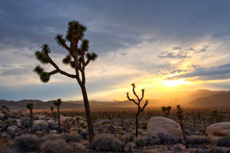 Sunset at Hidden Valley