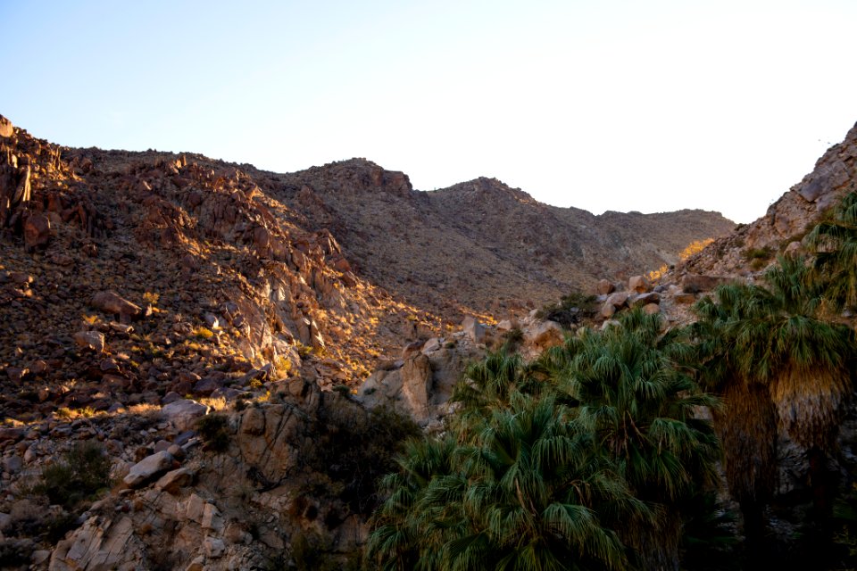Sunrise at the Fortynine Palms Oasis