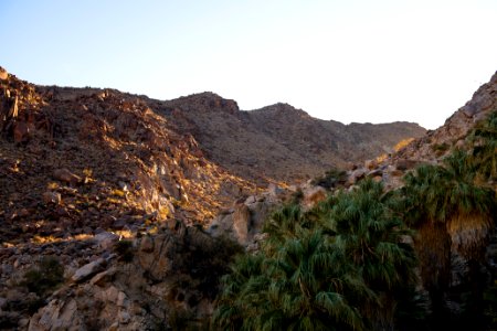 Sunrise at the Fortynine Palms Oasis photo