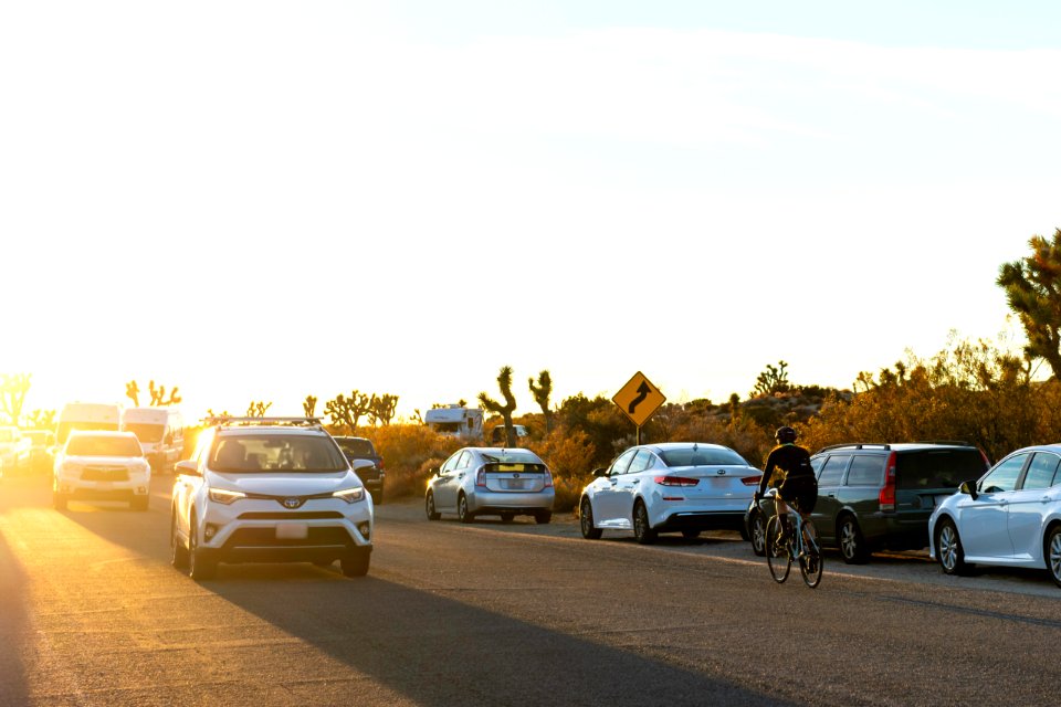 Cyclist and cars on Park Boulevard