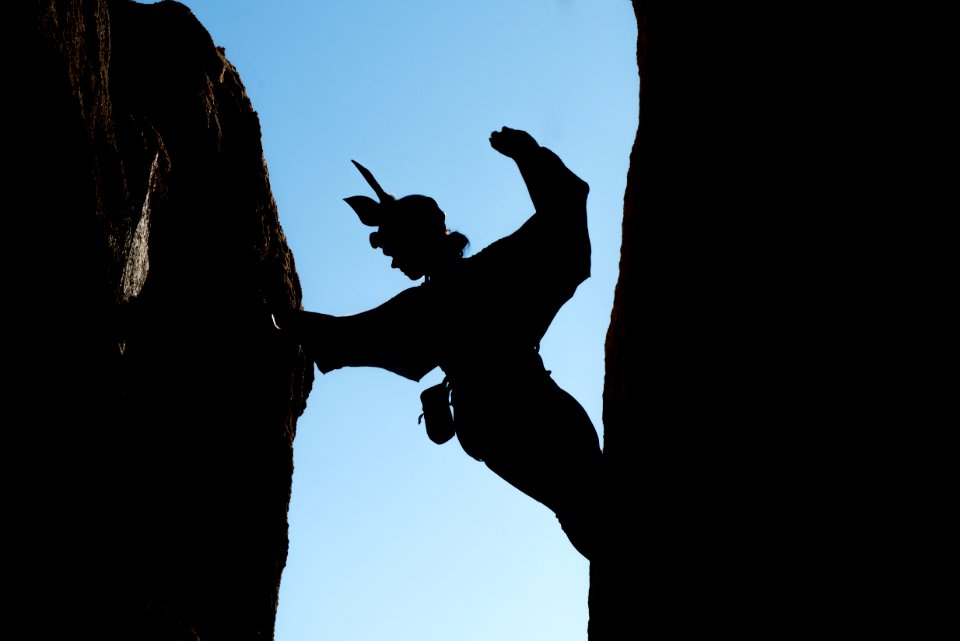 Bat costume silhouette