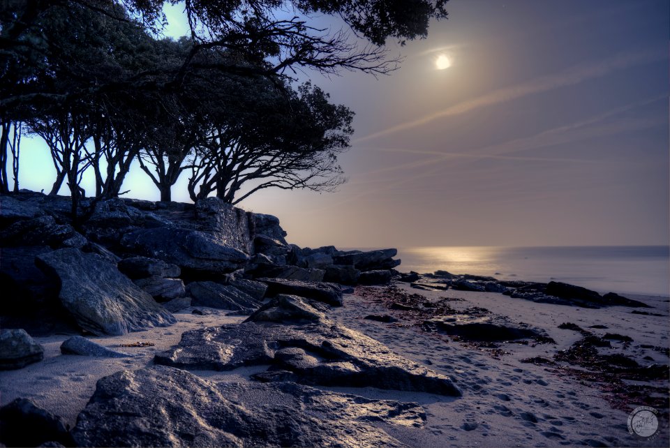 Noirmoutier - Moonlight