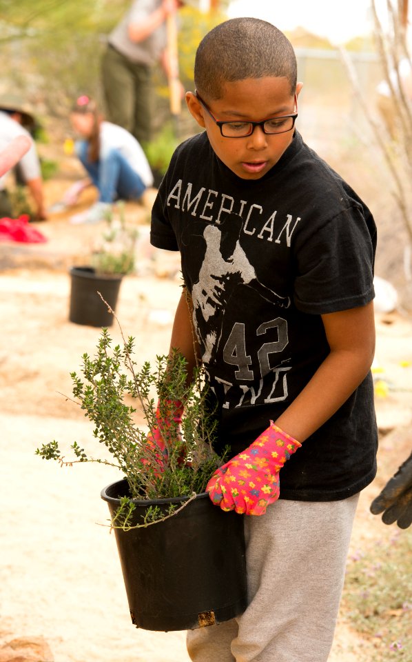 Planting Native Species