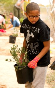 Planting Native Species