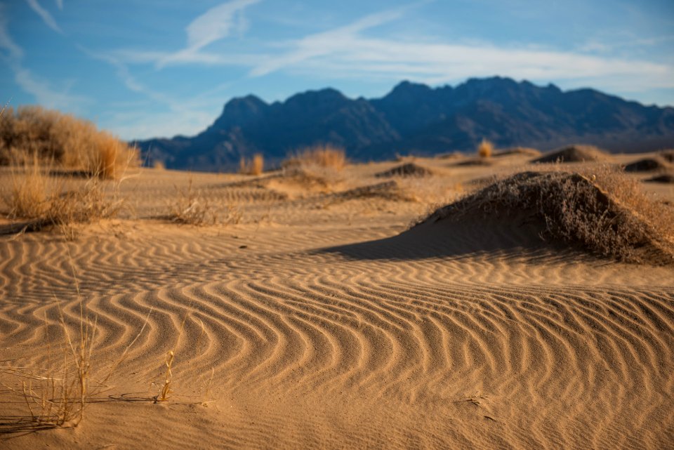 Mojave Preserve Kelso Dunes
