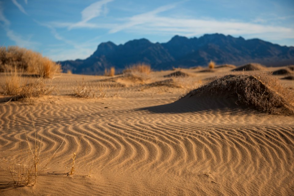 Mojave Preserve Kelso Dunes photo