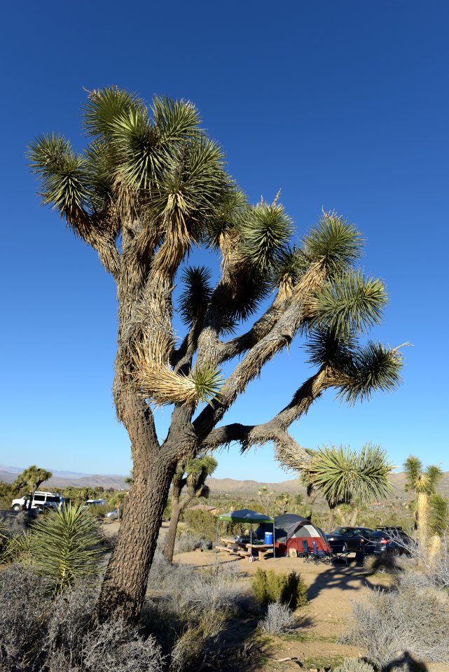 Black Rock Campground