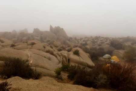 fog at Jumbo Rocks Campground