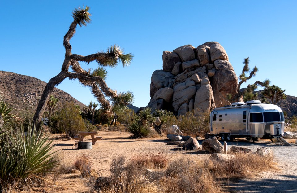 Campsite in Ryan Campground