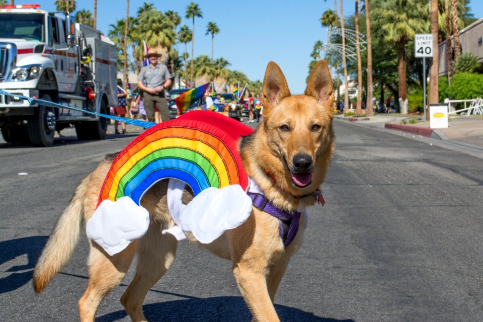 Palm Springs Pride Parade 2019
