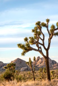 Wonderland of Rocks viewed from Lost Horse Valley photo