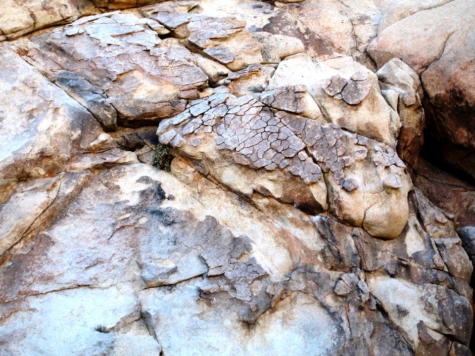 Exfoliating monzogranite in Hidden Valley
