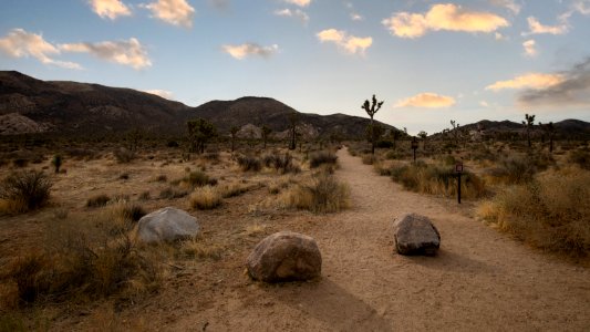 Ryan Ranch Hiking Trail