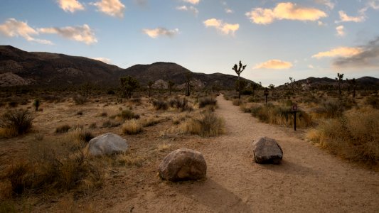 Ryan Ranch Hiking Trail photo