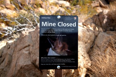Mine closed - bats sign at Mastodon Mine