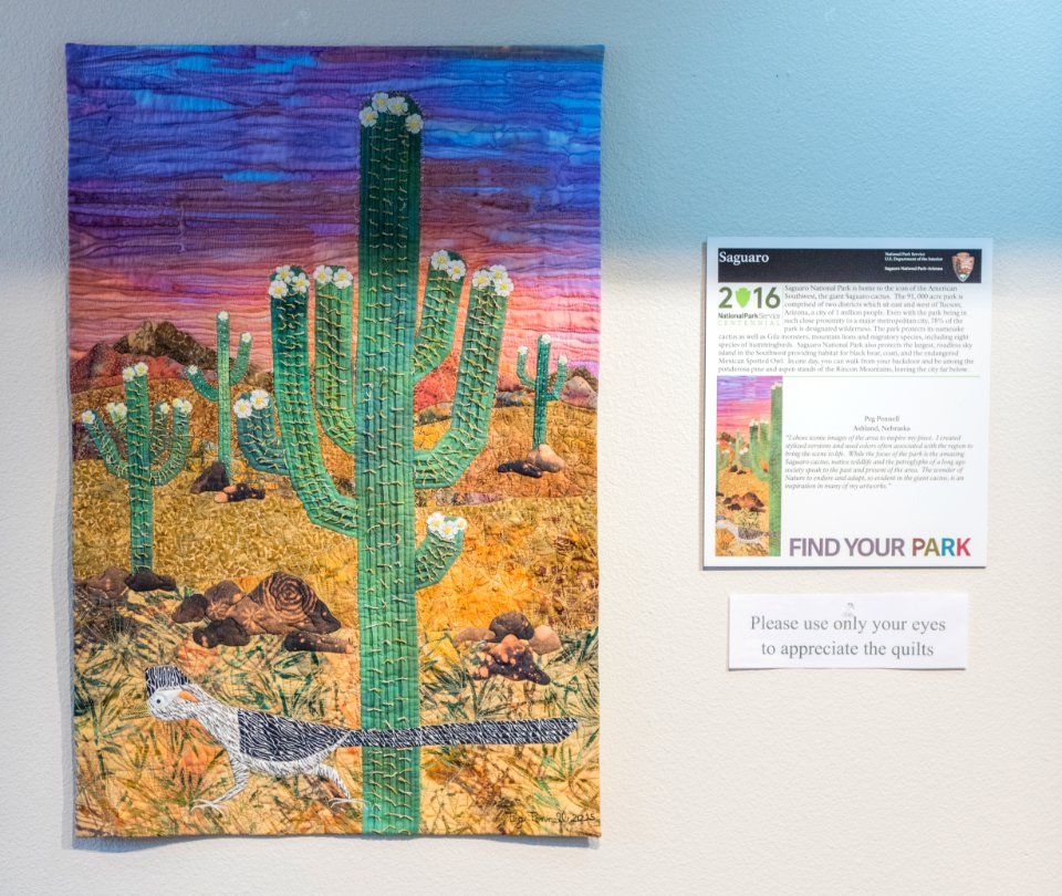 Saguaro National Park; created by Peg Pennell