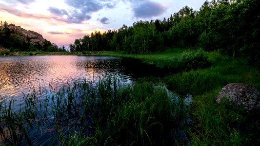 Wilbur Ladd Lake