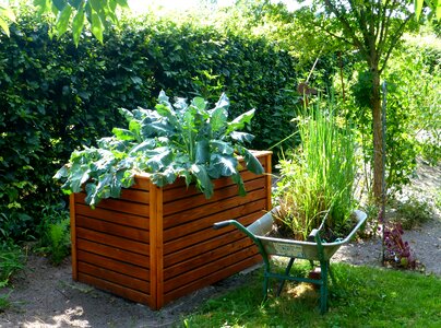 Gardening vegetables grow vegetables yourself