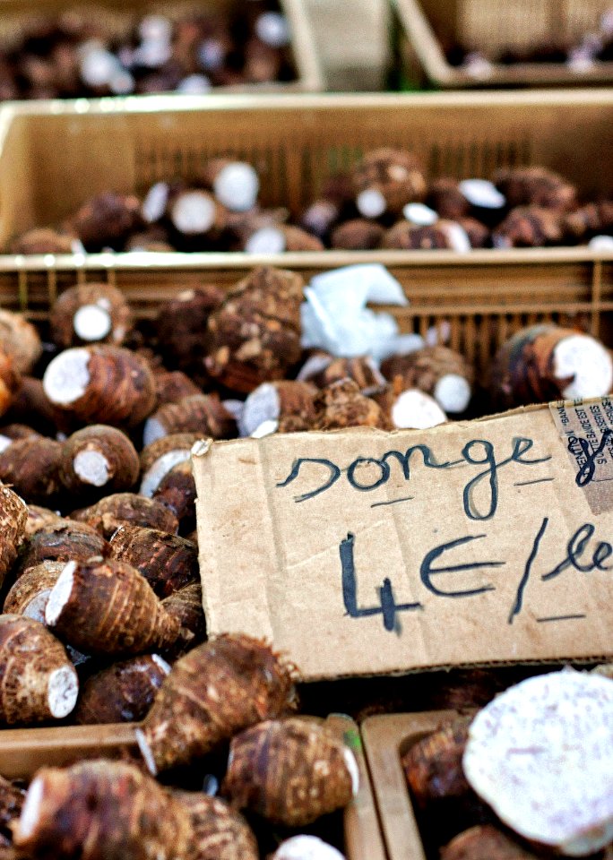 Songe, Taro ou Chou de Chine